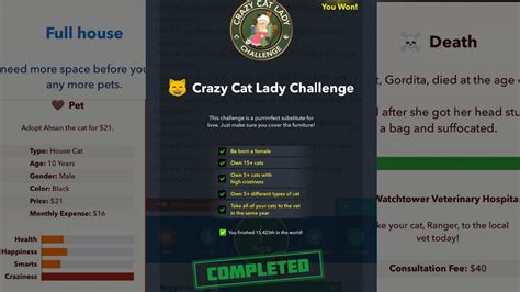 Crazy Cat Lady Challenge Bitlife Youtube