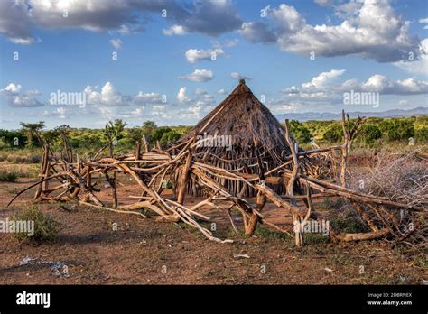 Cattle Pen In Hamar Village The Hamar People Are A Primitive Tribe In