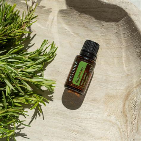 Rosemary Oil Uses And Benefits Doterra Essential Oils Dōterra