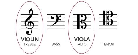 Viola Vs Violin In Detail Comparison For 2021