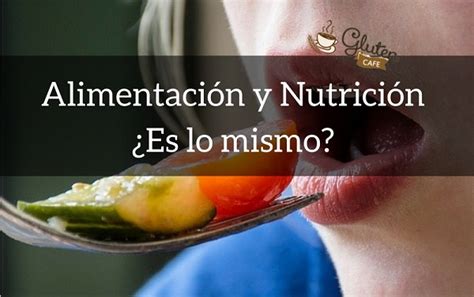 Qué Diferencia Hay Entre Alimentación Y Nutrición Alimentos Y Nutrientes