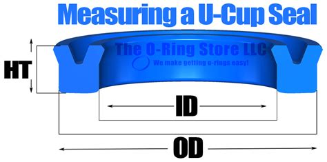 O Ring Groove Size Chart Pdf Ranee Ojeda