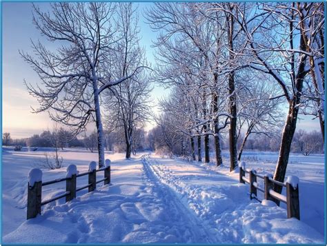Piczene Winter Scene Screensavers Wallpaper