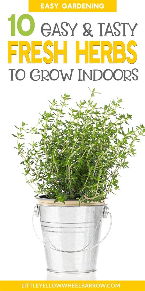 A Bucket Full Of Fresh Herbs With Text Overlay That Reads 10 Easy And