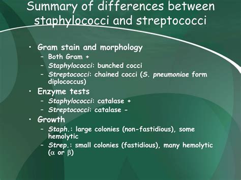 Ppt Gram Positive Bacteria And Clinical Case Studies Ii Powerpoint