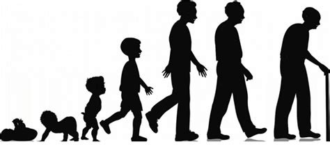 Stages In Life Life Cycle Of Humans Human Life Cycle