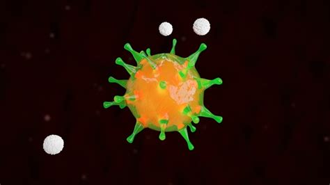 White Blood Cells Destroys A Bacterial Virus Cell Motion Graphics