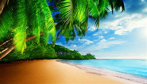 Tropical Paradise Ocean Sands Sky Summer
