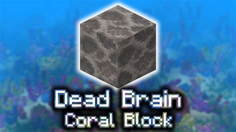 Dead Brain Coral Block Wiki Guide 9minecraftnet