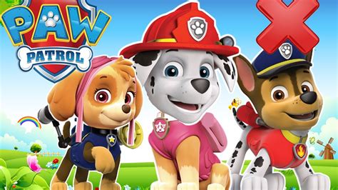 Paw Patrol Academy Full Episodes Fun Games For Kids Youtube