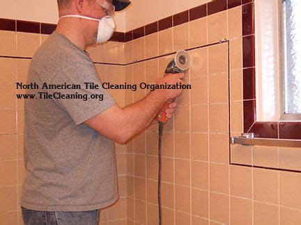 Regrout Bathroom Tile Tile Regrouting Services Perfected The Grout
