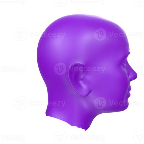 3d Rendering Of Human Bust 18065608 Png
