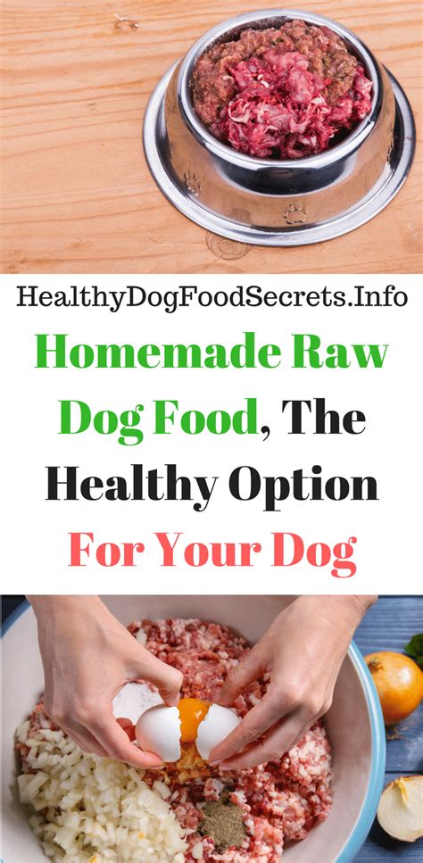 Best raw dog food recipes. Homemade Raw Dog Food, The Healthy Option For Your Dog ...