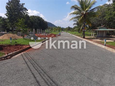 Land For Sale In Kandy Road Dambulla Ikman