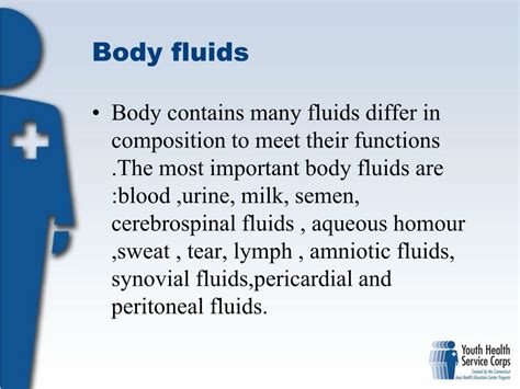 Functions Of Synovial Fluid Flexvids