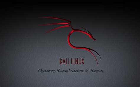 Mar 20, 2021 · kali linux can run natively when installed on a computer's hard disk, can be booted from a live cd or live usb, or it can run within a virtual machine. Wallpaper Kali Linux For Smartphone : Kali Linux Wallpaper ...