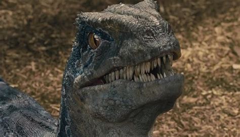 Do you like this video? New VR Experience 'Jurassic World: Blue' is "Going to Blow ...