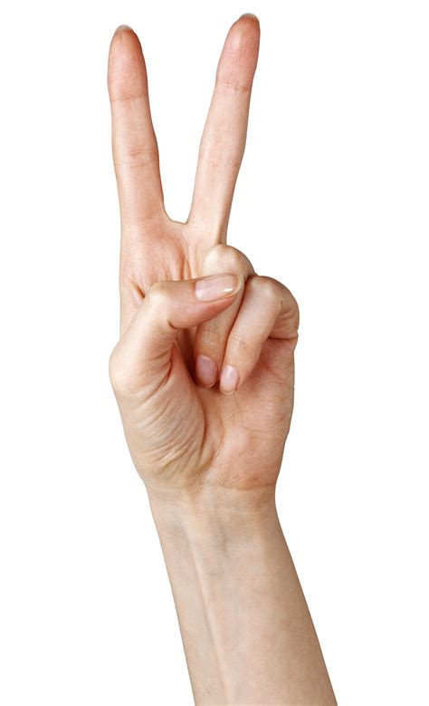 The customer fingered the sweater. Fingers PNG Clipart | PNG All