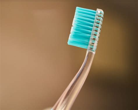 Interesting Do You Share Your Toothbrush With Your Partner Or Friend