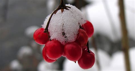 Существуют определенные запреты, а приметы предсказывают. Какой сегодня праздник 24 декабря • Что произошло в этот ...