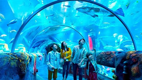 Sea Life Malaysia At Legoland To Open In April