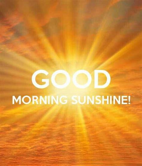 Sets the tone for a wonderful day filled with happiness. good morning sunshine. Good morning sunshine! | Funny good morning images, Good ...
