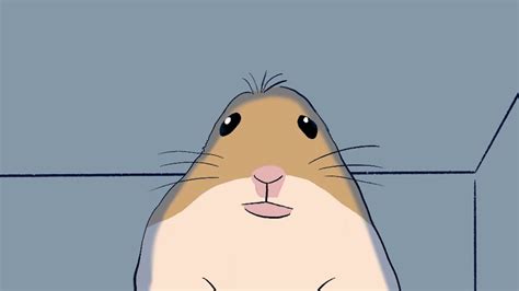 The Story Behind The Hamster Facetime Meme Animated Youtube