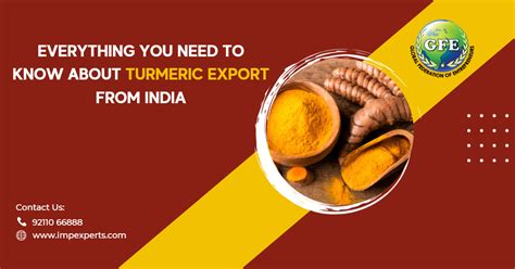 A Step By Step Guide Of Turmeric Export From India A Must Read For