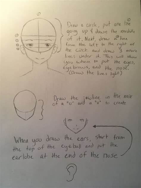 How To Draw Anime Face Shapesjaw Lines Full Description Anime