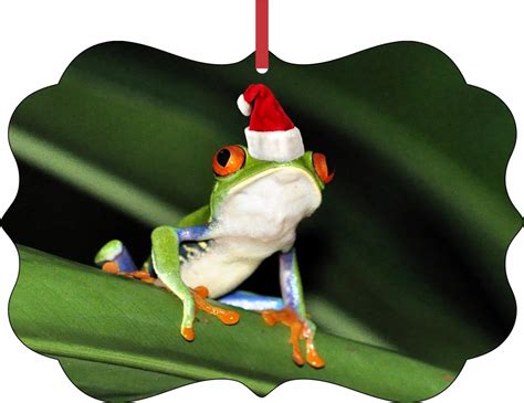 Tree Frog In A Santa Claus Hat Elegant Aluminum Semigloss Christmas