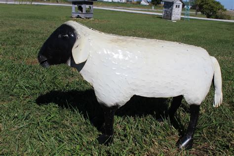 A barnyard or farmyard is an enclosed or open yard adjoining a barn, and, typically, related farm buildings, including a farmhouse. 19" Recycled Metal Sheep Farm Animal Barnyard Creatures