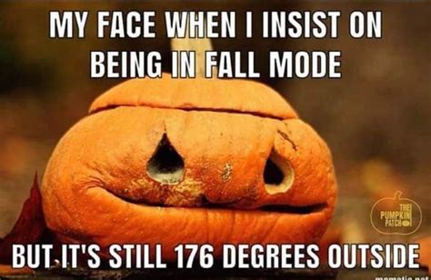 So Hot And Muggy Out 😭 Happy Tuesday 🎃🖤 Fallmemes Lol😂 Funnypic