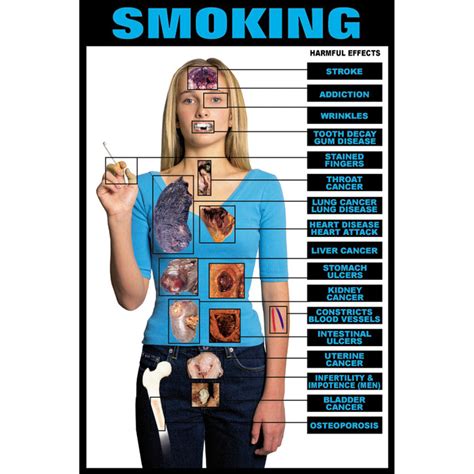 Educational Harmful Effects Of Smoking Chart Health Edco