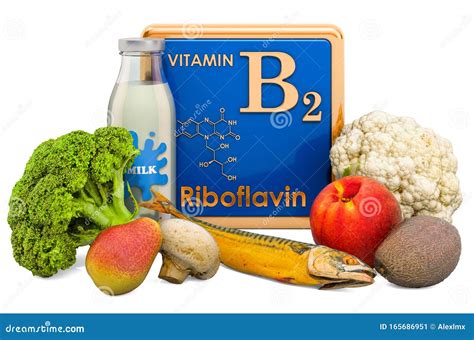 Foods Highest In Vitamin B2 Riboflavin 3d Rendering Stock Illustration Illustration Of
