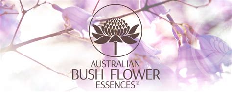 Australian Bush Flower Essences Do They Work Best Flower Site