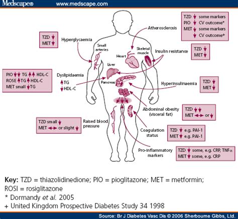 Apr 06, 2019 · metformin has been shown to improve the hormonal profile and reduce weight in women with pcos ( 12 ). What can diabetics eat and drink, facts about diabetes ...