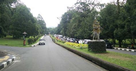 Dari sini lahir beberapa institusi ilmu pengetahuan lain, seperti bibliotheca bogoriensis (1842), herbarium bogoriense (1844), kebun raya cibodas (1860), laboratorium treub (1884). Bedugul Kebun Raya Bali - Botanical Garden Terluas & Harga Tiket Masuk