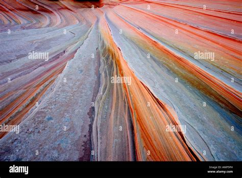 The Wave Petrified Sand Dunes Usa Arizona Paria Canyon Vermilion