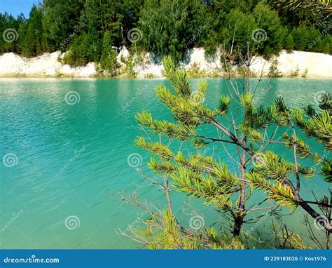 Trees Grow On The Shores Of A Turquoise Lake Stock Photo Image Of