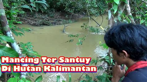 Terinspirasi dari hujan, ini 77 nama bayi yang lahir di musim penghujan. Mancing di hutan saat musim hujan - YouTube