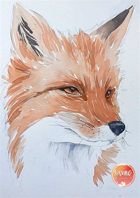 How To Paint A Fox In Watercolor With 3 Colors Solving Watercolour