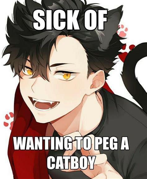 Pin By Hopie On Funny Stupid Memes Catboy Anime Funny