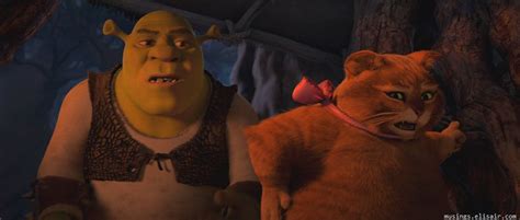 Shrek Forever After 2010 The Final Chapter Musings From Us