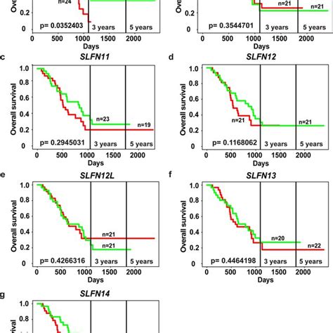 Elevated Expression Of Slfn Mrna In Pancreatic Cancer Patient Tissues