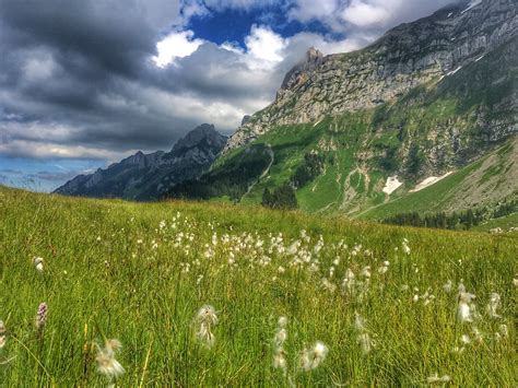 Green Grass Near Mountain · Free Stock Photo