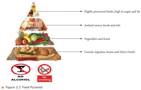 Four Food Groups And Food Pyramid