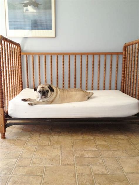 There are 200 dog crate mattress for sale on etsy, and they cost $67.28 on average. 40 Comfy Large Dog Crate Ideas