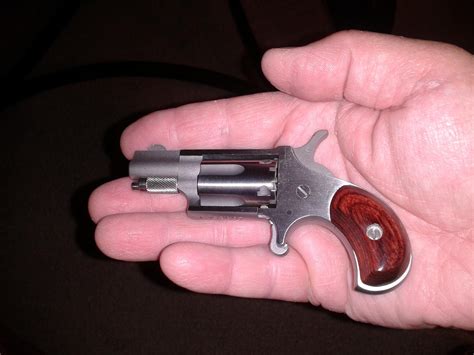Naa 22lr Mini Single Action Revolver For Sale