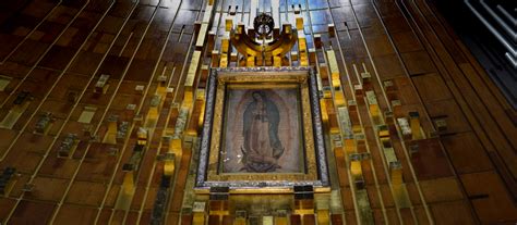Läs recensioner av resenärer som du och se professionella bilder på bosque mágico i guadalupe, mexiko på tripadvisor. Neuer Pilgerrekord bei Guadalupe-Wallfahrt in Mexiko ...