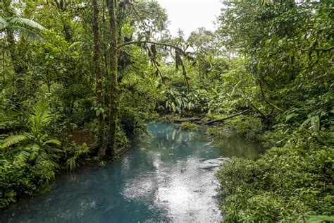 Rio Celeste Costa Rica How To Visit This Magical Blue Waterfall